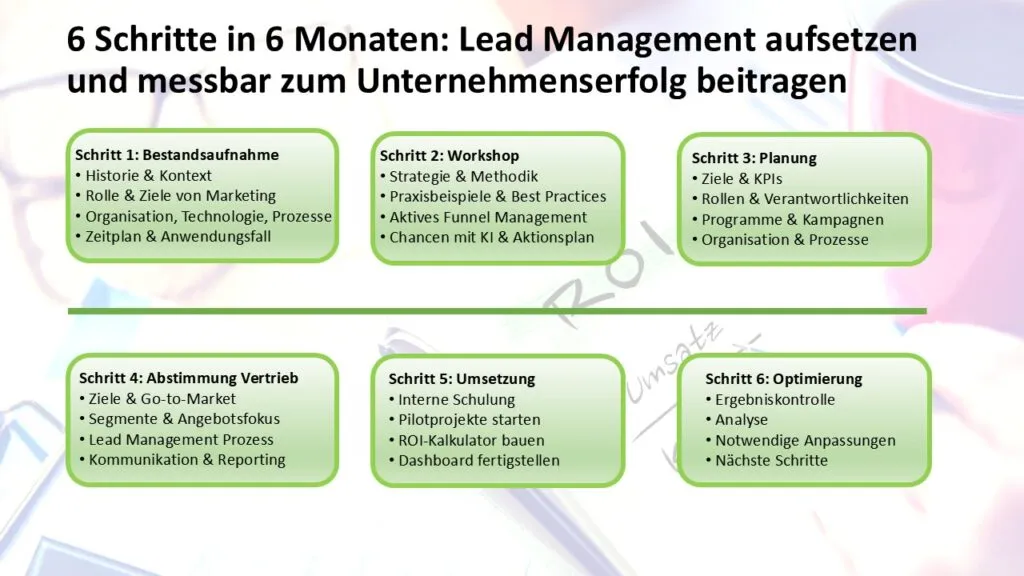 Introduce lead management in six steps